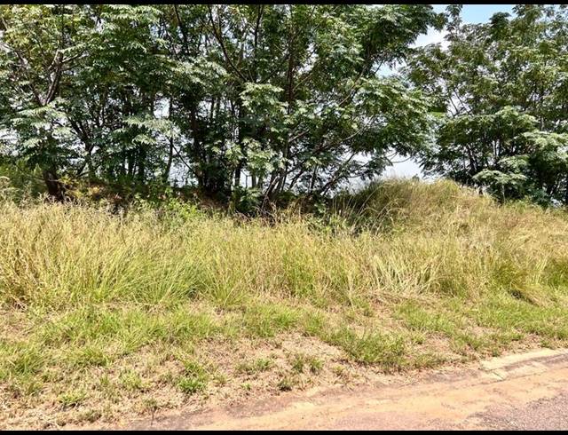LAND FOR SALE IN EVERGLADES ESTATE